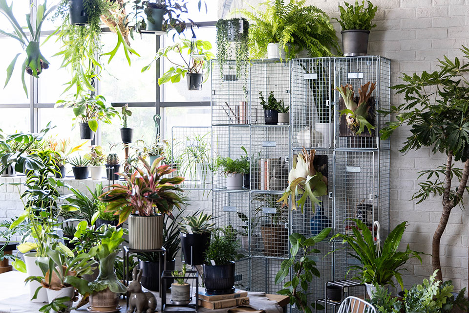 バンダムロッカー