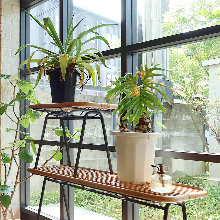 ケインベンチ：組み合わせ