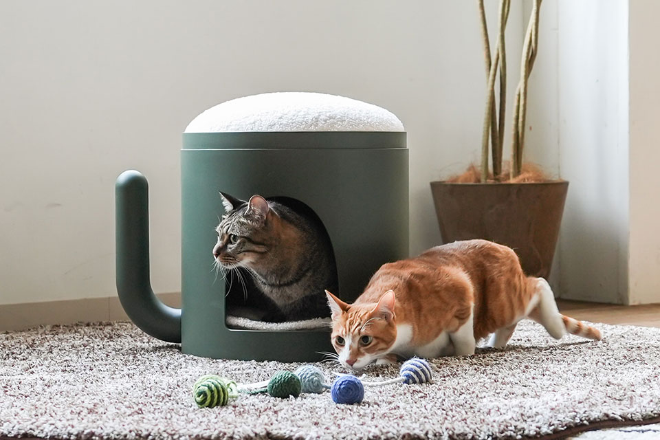 サボリーキャットタワー