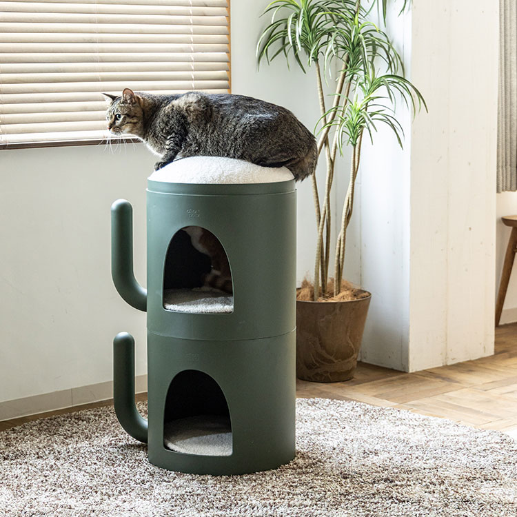 サボリーキャットタワー