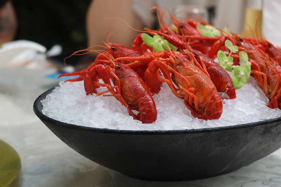 工場視察レポート:製造工程