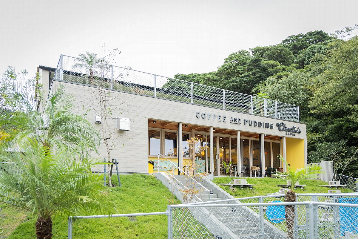 クラッシュ納品事例