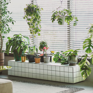 テラディスプレイローボード