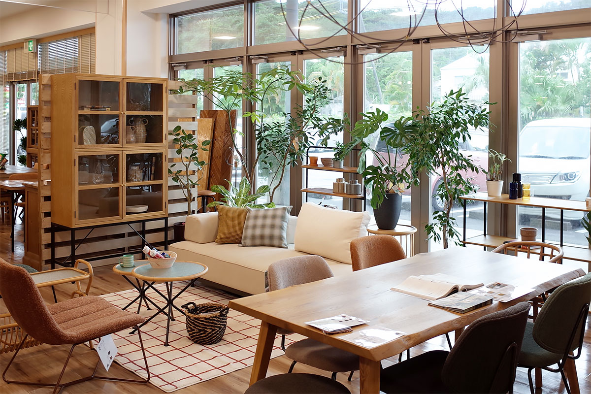 バディズショップ_maxplus