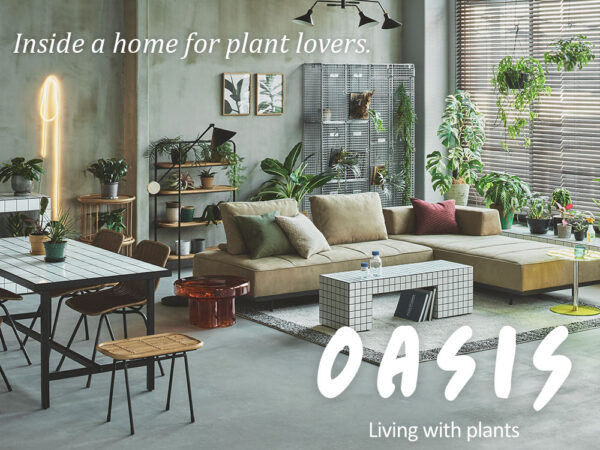 OASIS:建築材タイルを使ったスタイリング特集
