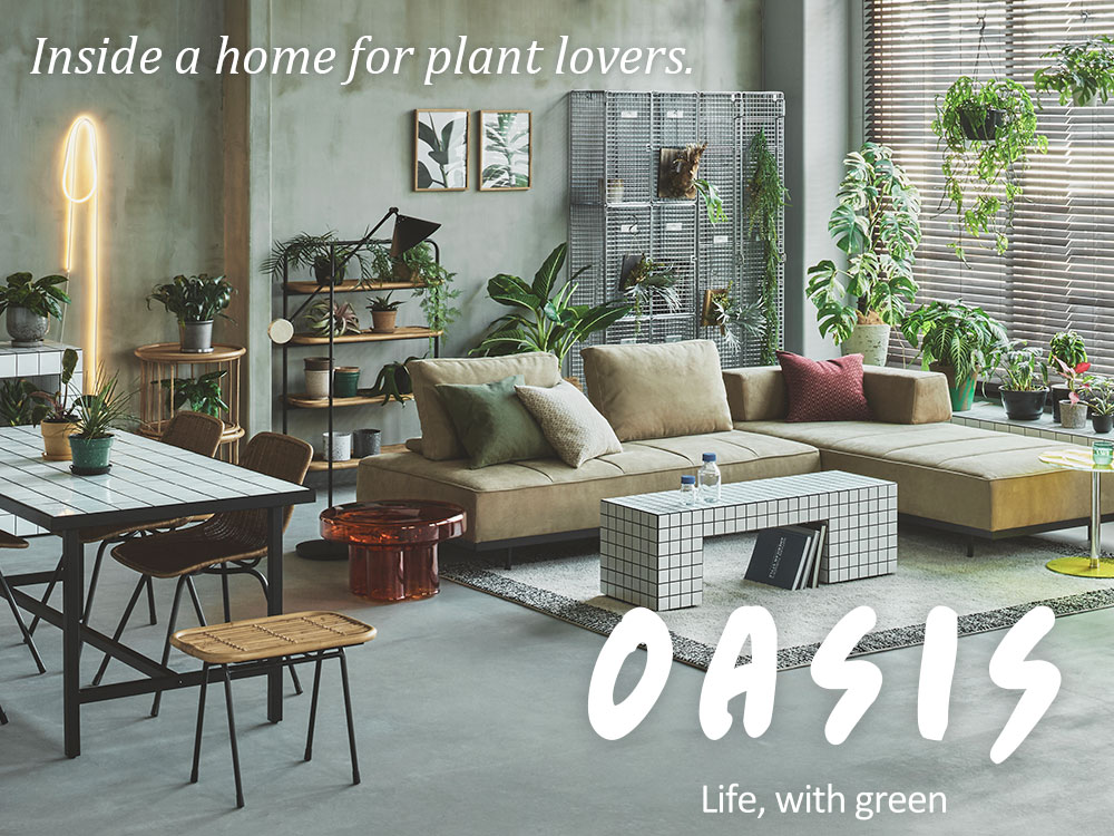 特集｜OASIS Interior Styling 